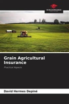 David Hermes Depiné - Grain Agricultural Insurance