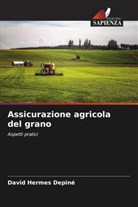 David Hermes Depiné - Assicurazione agricola del grano