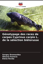 Sergey Dromashko, Oksana Koneva, Elena Rovba - Génotypage des races de carpes Cyprinus carpio L. de la sélection biélorusse