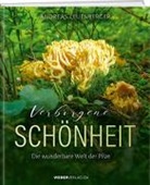 Andreas Leuenberger - Verborgene Schönheit