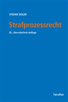 Stefan Seiler - Strafprozessrecht
