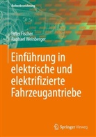 Peter Fischer, Raphael Weinberger - Einführung in elektrische und elektrifizierte Fahrzeugantriebe