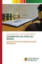 Lucas do Nascimento Fahur, Almir Santos Reis Junior - DOSIMETRIA DA PENA NO BRASIL