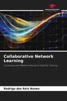 Rodrigo Dos Reis Nunes - Collaborative Network Learning