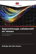Rodrigo Dos Reis Nunes - Apprentissage collaboratif en réseau