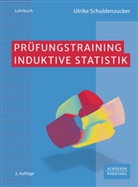 Ulrike Schuldenzucker - Prüfungstraining Induktive Statistik