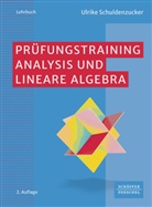 Ulrike Schuldenzucker - Prüfungstraining Analysis und Lineare Algebra