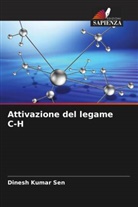 Dinesh Kumar Sen - Attivazione del legame C-H