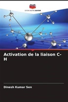Dinesh Kumar Sen - Activation de la liaison C-H