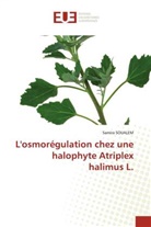 Samira SOUALEM - L'osmorégulation chez une halophyte Atriplex halimus L.