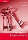 Vikt Laube, Viktor Laube, Julian Mausbach, Umberto Pajarola - Übungsbuch Strafprozessrecht