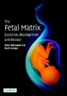 Peter Gluckman, Gluckman Peter, Mark Hanson, Hanson Mark - The Fetal Matrix