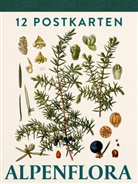 Alpenflora