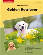 Anna Seibel - Traumrasse Golden Retriever