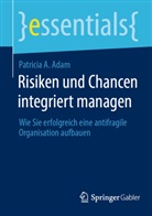 Patricia A Adam, Patricia A. Adam - Risiken und Chancen integriert managen