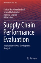 Tofigh Allahviranloo, Farhad Hosseinzadeh Lotfi, S, Hilda Saleh, Morteza Shafiee - Supply Chain Performance Evaluation
