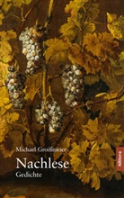 Michael Groißmeier - Nachlese