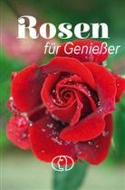 Heike Mohr - Rosen für Genießer
