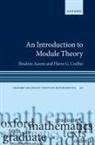 Assem, Ibrahim Assem, Ibrahim (Emeritus Professor Assem, Assem Ibrahim, Coelho, Flávio U. Coelho - Introduction to Module Theory