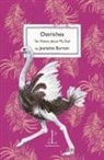 Jeanette Burton - Ostriches