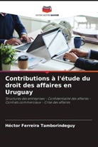 Héctor Ferreira Tamborindeguy - Contributions à l'étude du droit des affaires en Uruguay