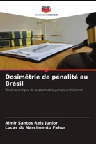 Lucas do Nascimento Fahur, Almir Santos Reis Junior - Dosimétrie de pénalité au Brésil
