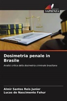 Lucas do Nascimento Fahur, Almir Santos Reis Junior - Dosimetria penale in Brasile