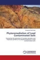 Zungukanji Nachilongo - Phytoremediation of Lead Contaminated Soils