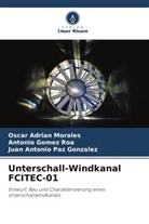 Antonio Gomez Roa, Oscar Adrian Morales, Paz Gonza, Juan Antonio Paz Gonzalez - Unterschall-Windkanal FCITEC-01