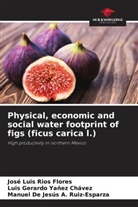 Manuel de Jesús A. Ruiz-Esparza, José Luis Ríos Flores, Luis Gerardo Yañez Chávez - Physical, economic and social water footprint of figs (ficus carica l.)