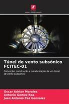 Antonio Gomez Roa, Oscar Adrian Morales, Juan Antonio Paz Gonzalez - Túnel de vento subsónico FCITEC-01