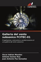Antonio Gomez Roa, Oscar Adrian Morales, Juan Antonio Paz Gonzalez - Galleria del vento subsonico FCITEC-01