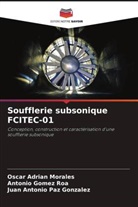 Antonio Gomez Roa, Oscar Adrian Morales, Juan Antonio Paz Gonzalez - Soufflerie subsonique FCITEC-01