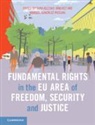 Maribel Gonzalez, Sara Iglesias Sanchez, Maribel González Pascual, Sara Iglesias Sánchez - Fundamental Rights in the Eu Area of Freedom, Security and Justice