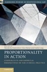 Mordechai Kremnitzer, Talya Steiner, Mordechai Kremnitzer, Andrej Lang, Talya Steiner - Proportionality in Action
