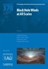 Gabriele (Inaf - Institute for Space Astrop Bruni, Gabriele Bruni, Gabriele (INAF - Institute for Space Astrophysics and Planetology) Bruni, Maria Diaz Trigo, Maria (European Southern Observatory Diaz Trigo, Keigo Fukumura... - Black Hole Winds At All Scales (Iau S378)