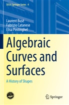 Laurent Busé, Fabrizio Catanese, Elisa Postinghel - Algebraic Curves and Surfaces