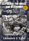 Chinyere E Egbe, Chinyere E E Egbe - Elephants, the Grass and A Teacher