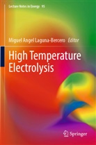 Miguel Angel Laguna-Bercero, Miguel Angel Laguna-Bercero - High Temperature Electrolysis