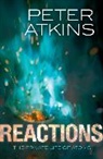 Peter Atkins, Peter (Fellow of Lincoln College Atkins - Reactions