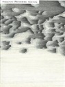 Wolfgang Kubin - Narrentürme. Gedichte