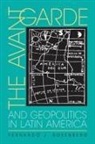 Fernando Rosenberg, Fernando J Rosenberg - The Avant-Garde and Geopolitics in Latin America