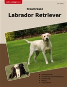 Tim Bessey - Traumrasse Labrador Retriever