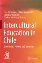 Liliana Morawietz, Ernesto Trevi&ntilde;o, Crist&oacute;bal Villalobos, Esteban Villalobos, Crist&oacute;bal Villalobos et al - Intercultural Education in Chile