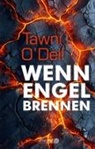 Tawni ODell, Tawni O'Dell, Daisy Dunkel - Wenn Engel brennen