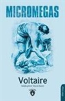 Francois Marie Arouet Voltaire, Voltaire - Micromegas