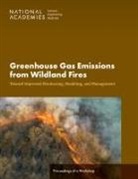 Board on Agriculture and Natural Resources, Board on Atmospheric Sciences and Climate, Committee on Greenhouse Gas Emissions from Wildland Fires Toward Improved Monitoring Modeling and Management?a Workshop, Committee on Greenhouse Gas Emissions from Wildland Fires Toward Improved Monitoring Modeling and Management--A Workshop, Division on Earth and Life Studies, National Academies of Sciences Engineering and Medicine... - Greenhouse Gas Emissions from Wildland Fires