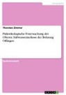 Thorsten Zimmer - Paläoökologische Untersuchung der Oberen Süßwassermolasse der Bohrung Offingen