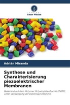 Adrián Miranda - Synthese und Charakterisierung piezoelektrischer Membranen