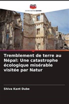 Shiva Kant Dube - Tremblement de terre au Népal: Une catastrophe écologique misérable visitée par Natur